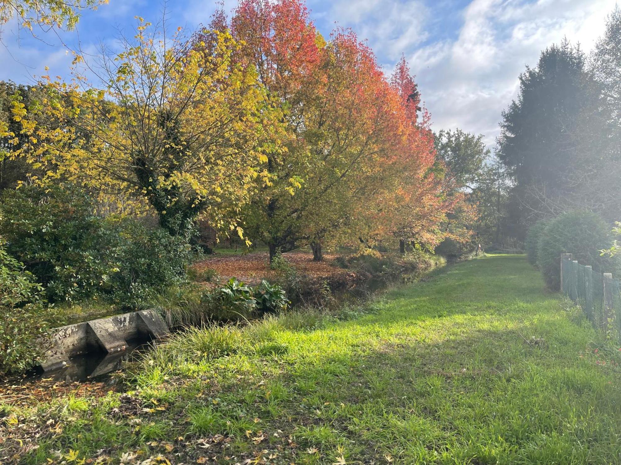 Le Domaine Du Martinet Holiday home