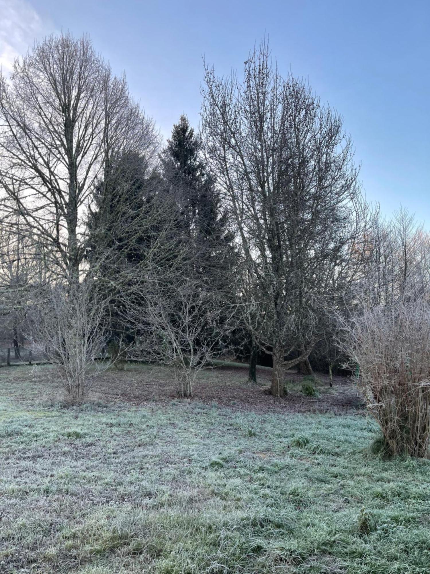 Le Domaine Du Martinet *