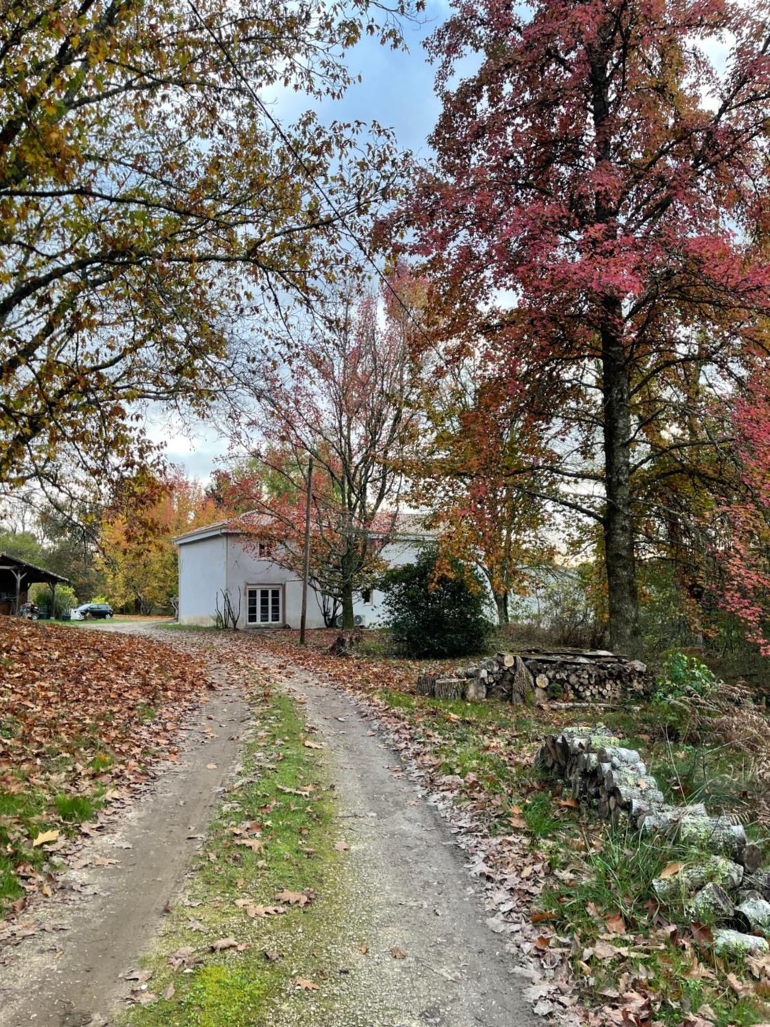 Le Domaine Du Martinet *